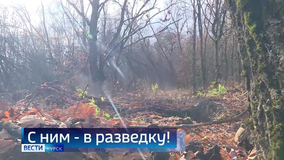 11111Главные темы недели — в 14:30 в итоговом выпуске «Вестей Курск» с Евгением Донцом: