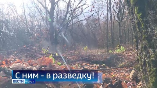 11111Главные темы недели — в 14:30 в итоговом выпуске «Вестей Курск» с Евгением Донцом: