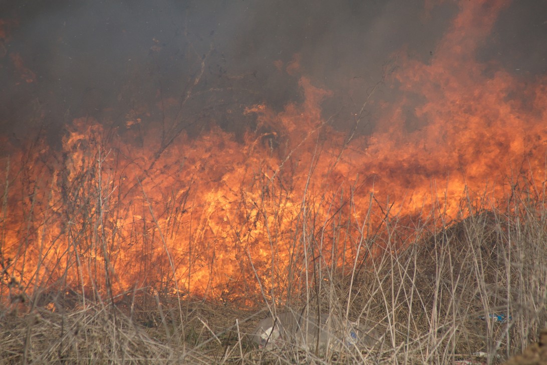 В Курске за сутки произошло 8 пожаров