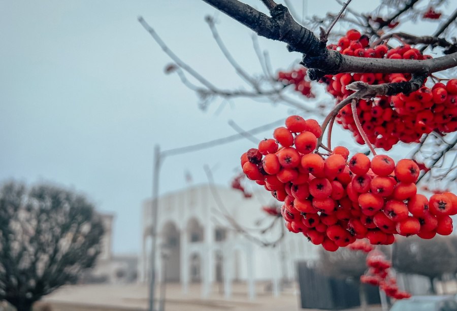 Дожди и туман - такая погода ждут жителей региона в понедельник, 10 ноября