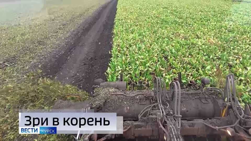 11111 Главные темы выпуска «Вестей Курск» — через несколько минут в нашем эфире: