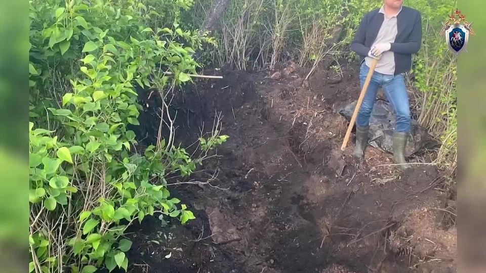 Курянин убил пенсионерку из-за квартиры