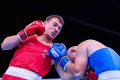 Курянин стал вице-чемпионом Европы по боксу