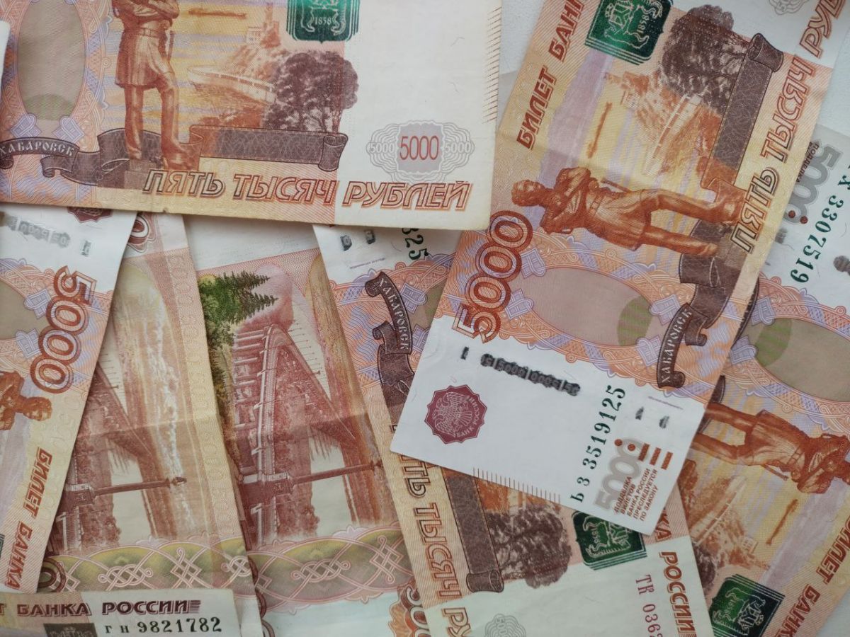 В Курской области выплаты приграничью на паузе из-за проверки законности