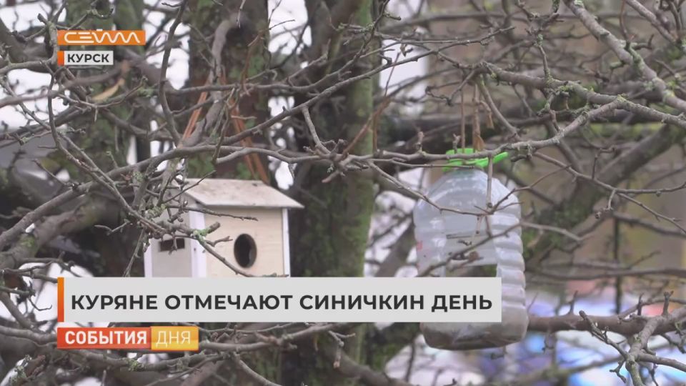 Как привлечь счастье в свой дом? Согласно древней традиции, для этого достаточно покормить птицу, и тогда благополучие на весь год гарантировано!