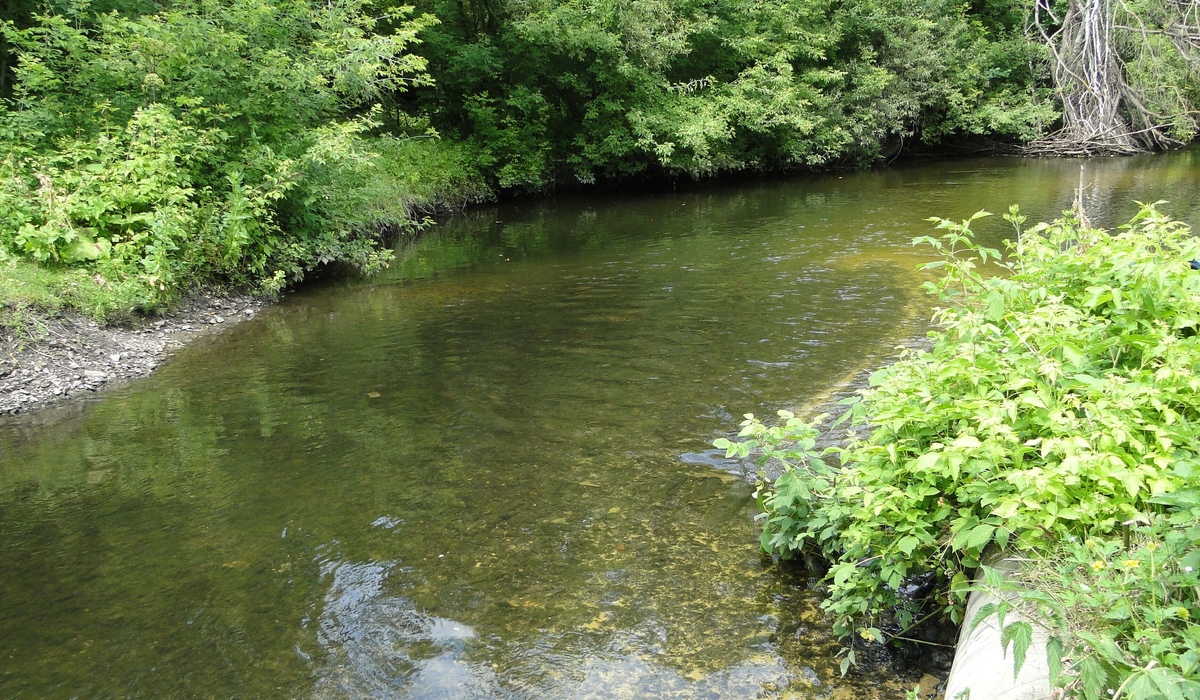 В Курской области три охранные зоны памятников природы внесли в ЕГРН