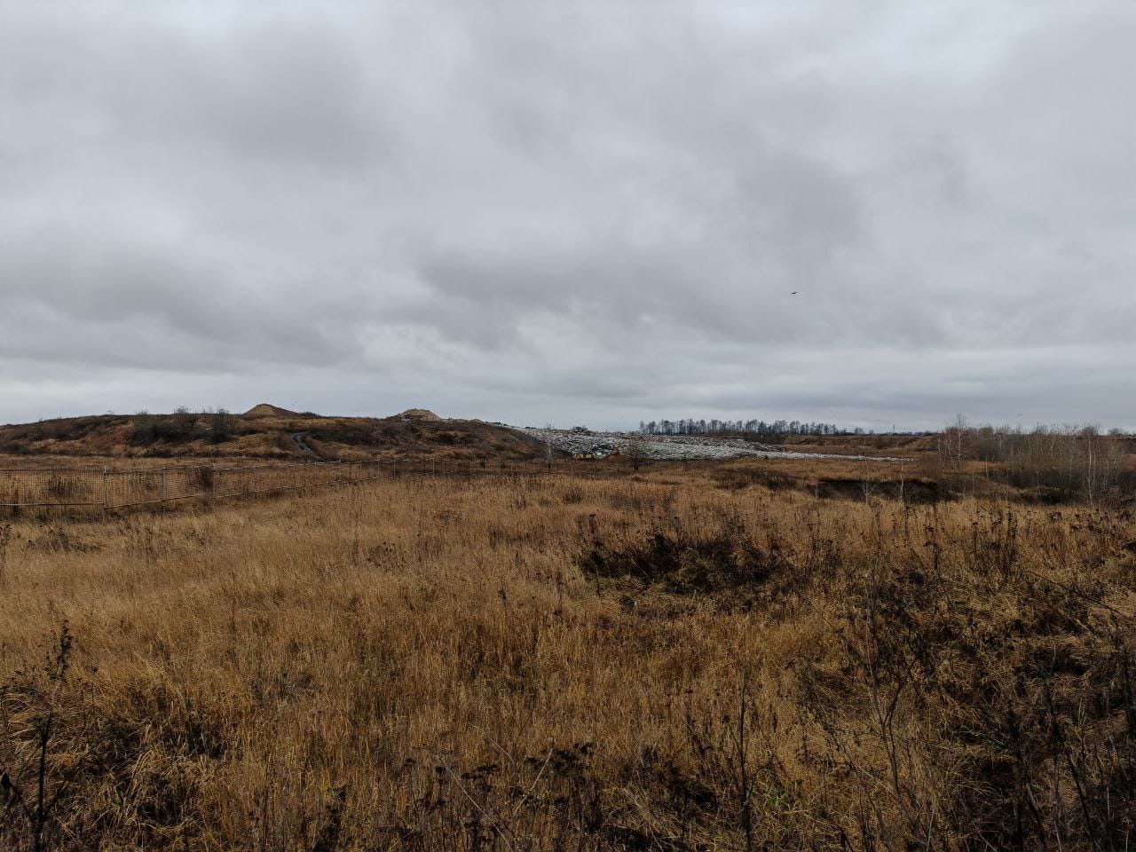На полигоне отходов в деревне Чаплыгино Курского района планируют строить четвертую очередь
