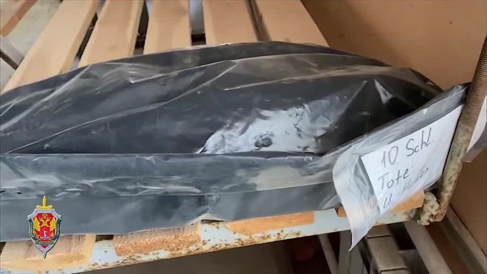 Владимир Джабаров: То, что Народный союз Германии по уходу за военными могилами вознамерился перезахоронить гитлеровцев в Волгоградской области с почестями, не должно удивлять. В Берлине уже много лет не стесняются...