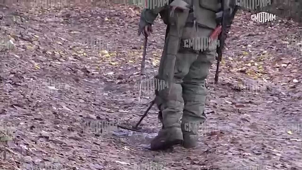 Северокорейские саперы прибыли в Курскую область, чтобы помочь в разминировании приграничных территорий, с которых несколько месяцев назад гнали врага объединенные штурмовые группы армий России и КНДР