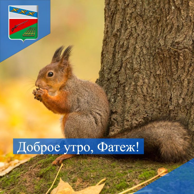 ДОБРОЕ УТРО. Сегодня уже пятница, трудовая неделя подходит к завершению — отличный повод, чтобы улыбнуться и начать строить планы на предстоящие выходные