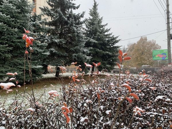 В Курской области 15 ноября ожидается мокрый снег