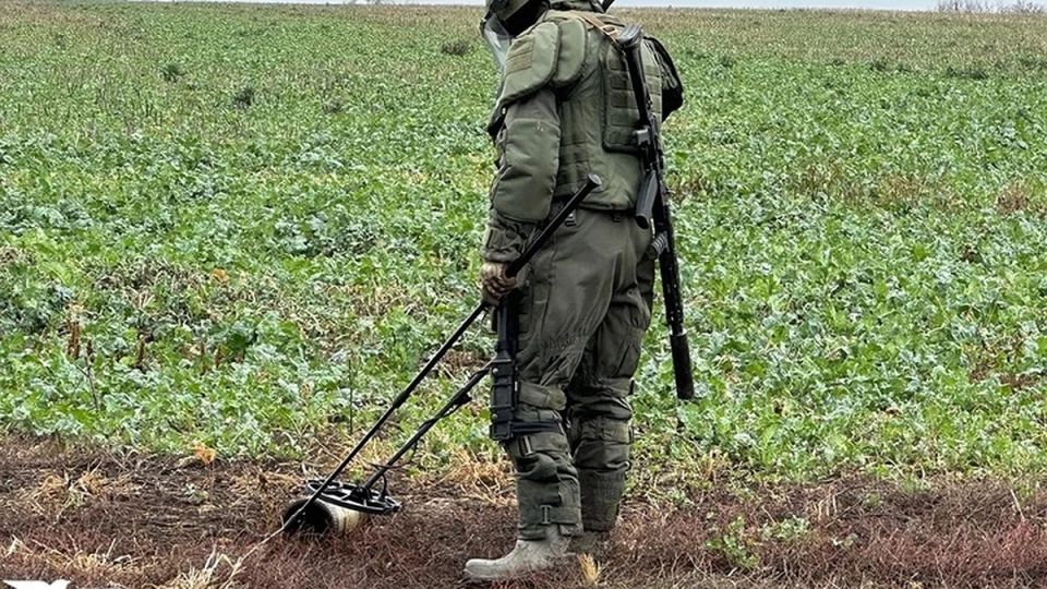 Саперы КНДР проводят первую волну разминирования Курской области: военкор Коц объяснил, зачем это нужно