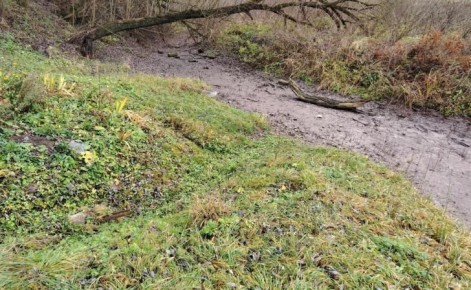 Курское Минприроды прокомментировало обмеление реки Кур