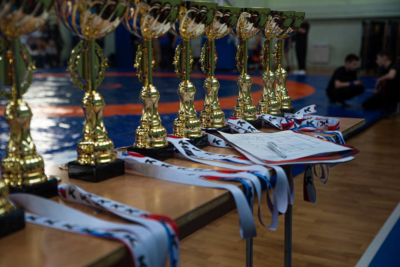 В КГУ проходит межрегиональный турнир по вольной борьбе «Кубок им. А.Д. Коштояна»