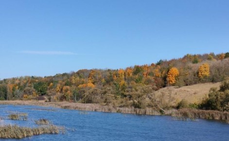 В Курской области суд обязал снести незаконные постройки возле пруда