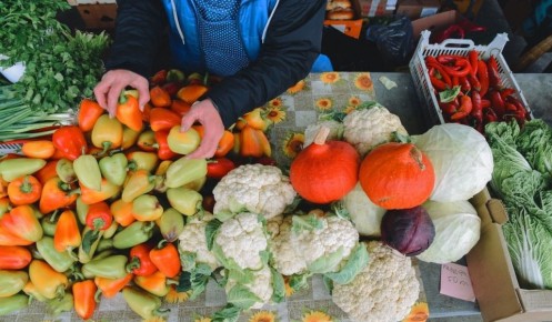 В Курске стартуют ярмарки с товарами из региона и Беларуси