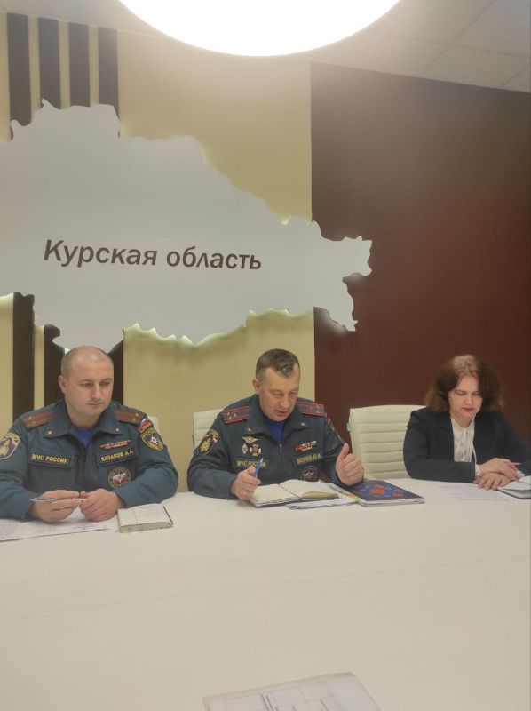 С представителями МЧС России обсудили, как в регионе реализуется финансовая помощь предпринимателям, которые утратили имущество после атак ВСУ