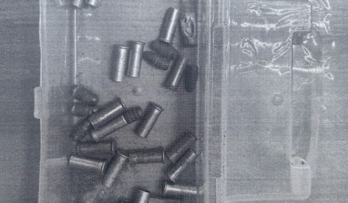 В Курской области 21-летний парень осужден за незаконное хранение 12 патронов