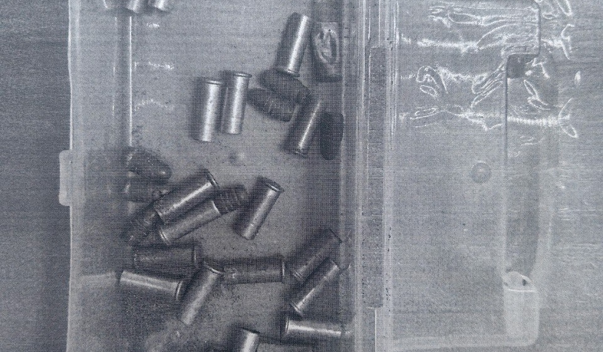 В Курской области 21-летний парень осужден за незаконное хранение 12 патронов