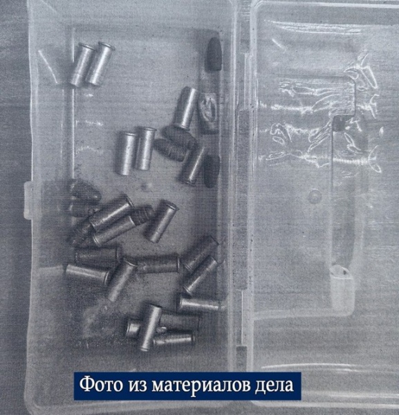 Молодой курянин осужден за хранение боеприпасов