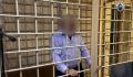 В Курской области подозреваемый в убийстве жены и тещи заключен под стражу