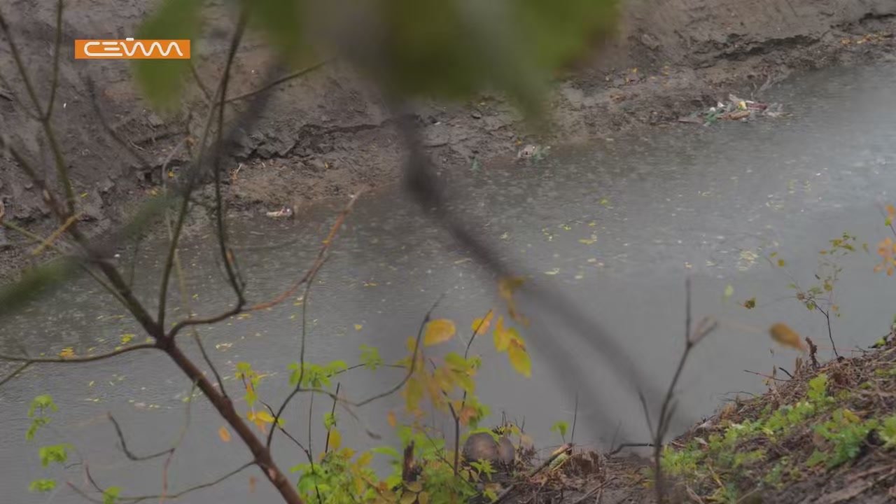 «Чистить её нужно в любом случае, иначе мы потеряем реку»