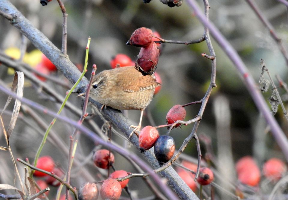 Доброе утро, Пристенский район!