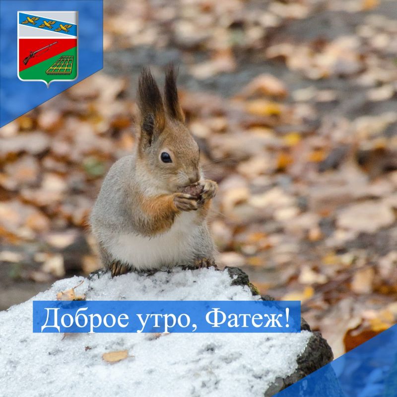 ДОБРОЕ УТРО. Желаем жителям Фатежского района яркого и продуктивного вторника