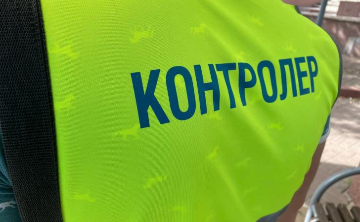 В Курске 85 пассажира оштрафованы за безбилетный проезд