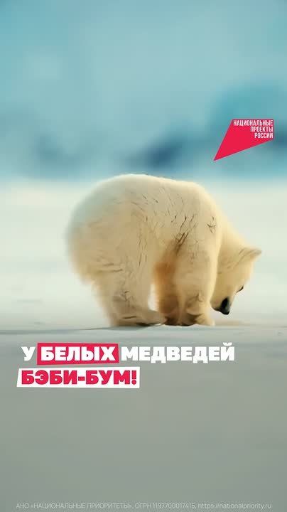 Ольга Германова: Друзья, под занавес дня хочу поделиться белой милотой