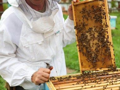       ,     03  04  2025 .  .   ,        ...