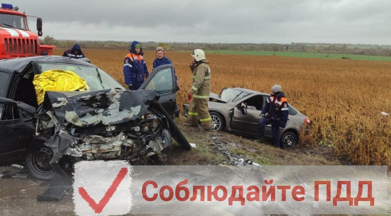 С понижением температуры безопасность дорожного движения становится особенно актуальной темой