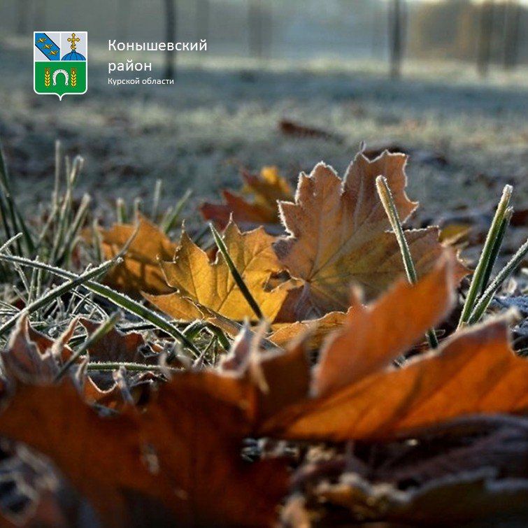 Доброе утро!. Сегодня будет облачно, днём всего +2°C, зато преимущественно без осадков, ночью термометры покажут -2°C