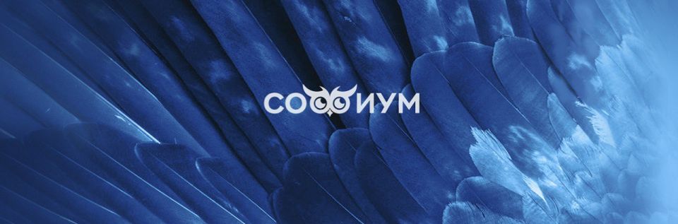 Опубликованы списки участников олимпиады по избирательному праву «Софиум»