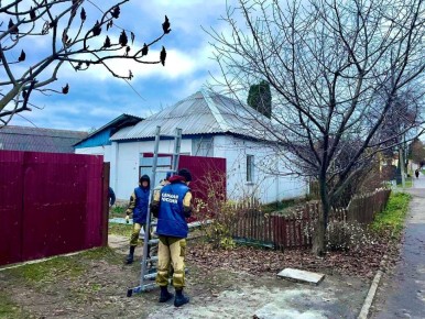  :      ,          ,  ,     ,  ...