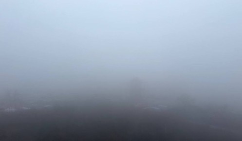 Курск утром 19 ноября окутал густой туман и изморозь