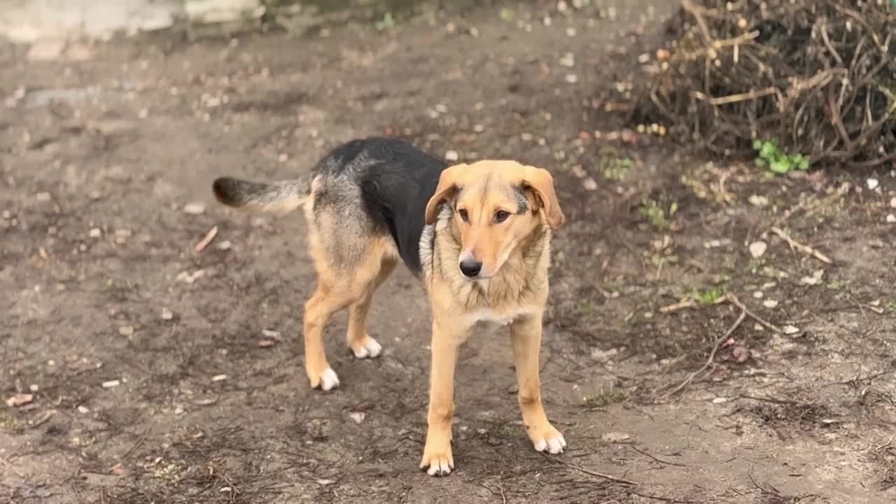 Сегодня по обращению администрации Суджанского района сотрудники Центра "Патриот" эвакуировали жительницу одного из населенных пунктов муниципалитета