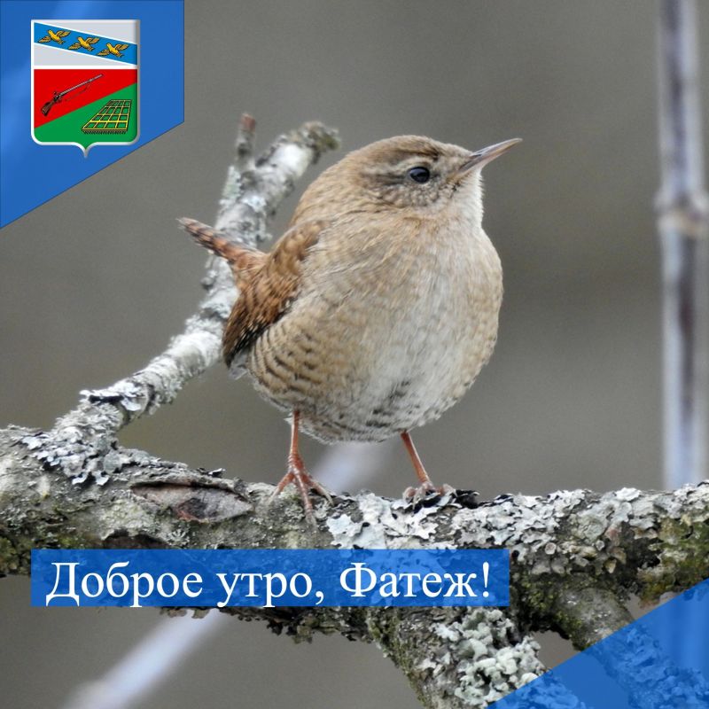 ДОБРОЕ УТРО. Желаем всем жителям Фатежского района удачного четверга! Сегодня днем ожидается + 3, облачно