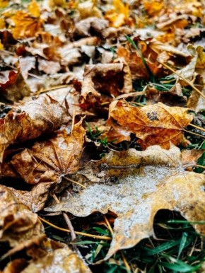 В Курской области прогнозируют потепление перед новой волной холода
