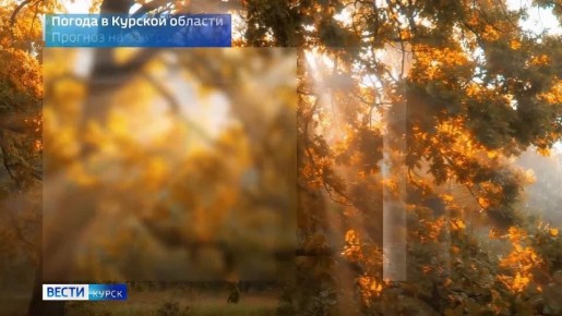 на 21 ноября. ВЕСТИ Читать | Прислать | MAX