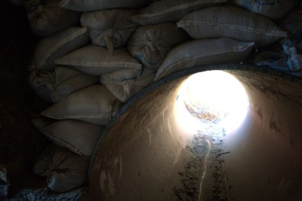 Эмир Кустурица выбрал историю Курской области для будущего фильма о событиях СВО