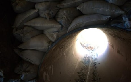 Эмир Кустурица выбрал историю Курской области для будущего фильма о событиях СВО