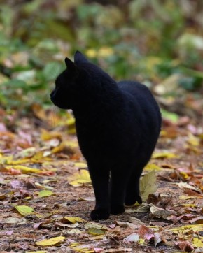  , !. ,  , 20 ,     ,      