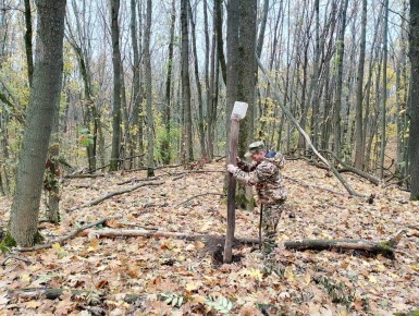 В Курской области продолжаются мероприятия по охране животного мира