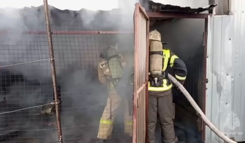 В Курской области в сарае сгорели более 100 перепелок и цыплят