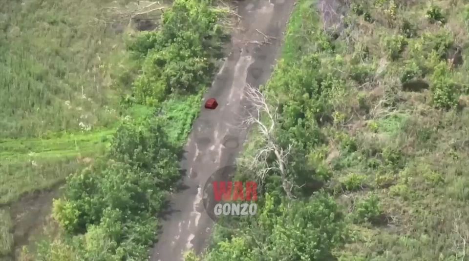 WarGonzo: ��������� ���� ������ ���� ����������� �����