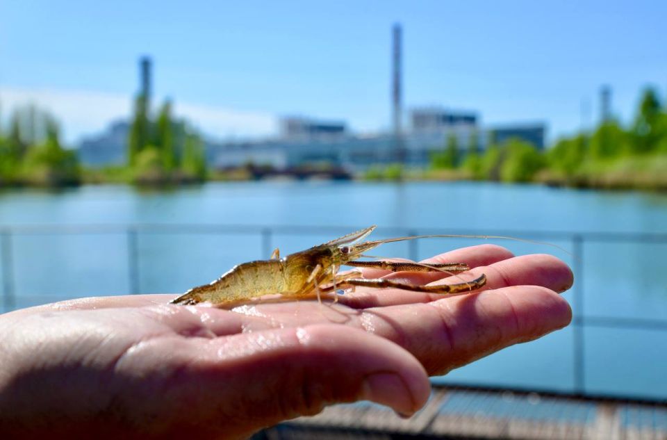 �������-���������� ������� ��� �������� � ������ ����������� � ������������ �������� � ��������� ��������