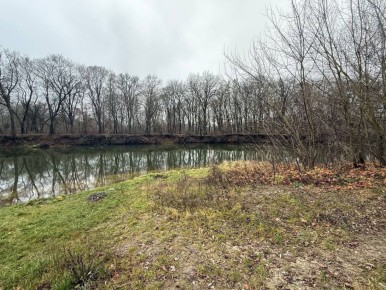 Экотропу в Соловьиной роще в Курске начнут обустраивать уже в этом году
