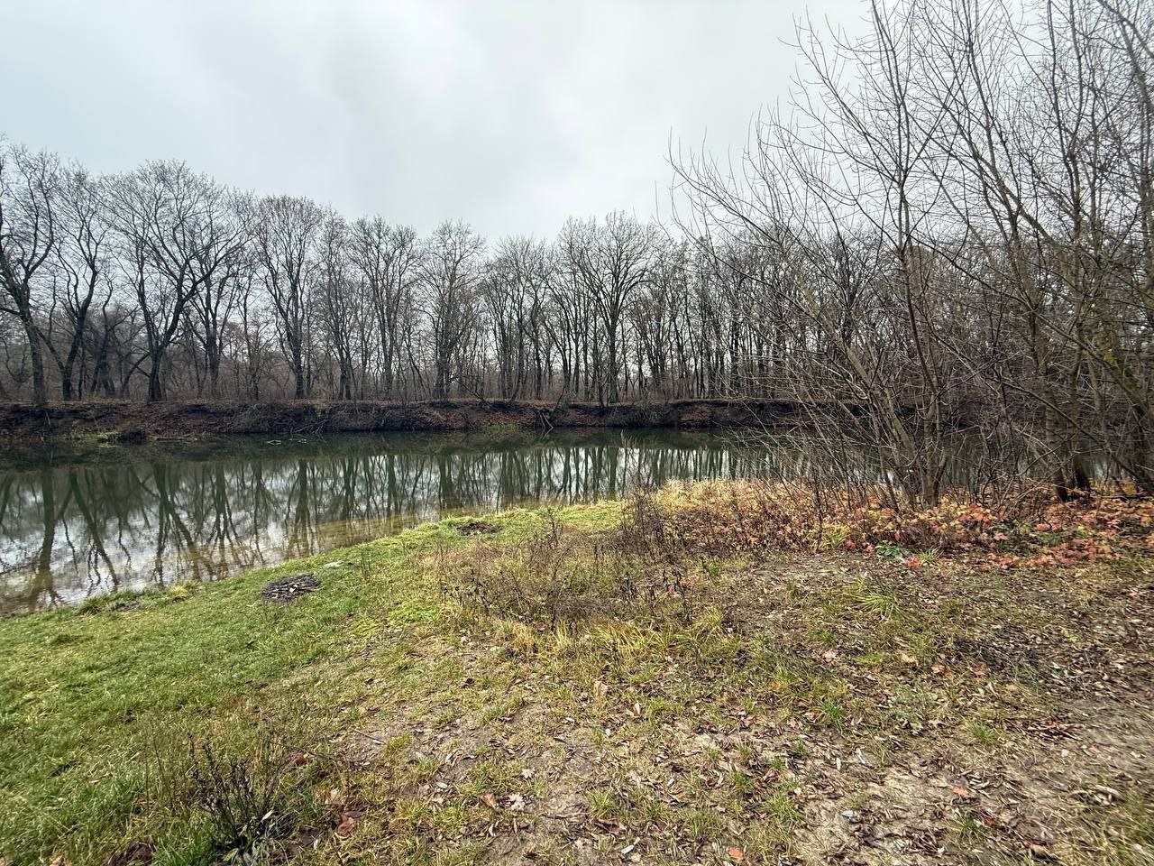 Экотропу в Соловьиной роще в Курске начнут обустраивать уже в этом году