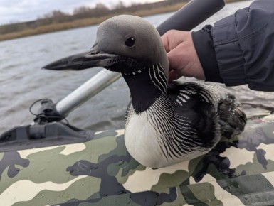Чудо на рыбалке: история спасения